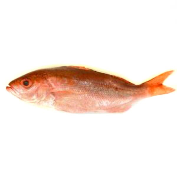 PARGO ROJO LIMPIO 5 LBS