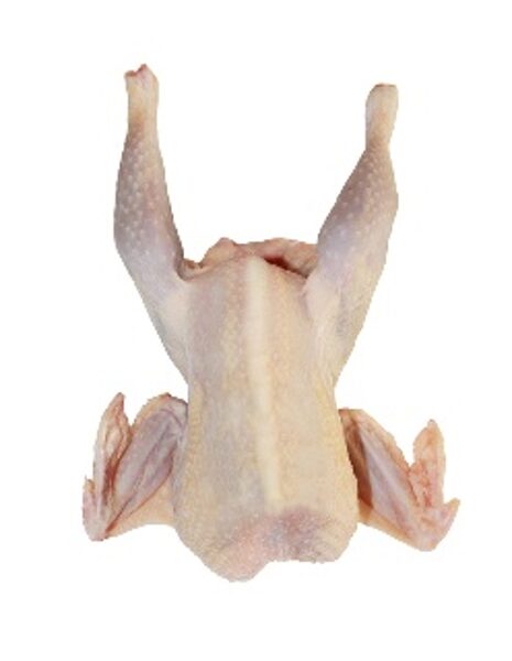 GALLINA ENTERA / LIMPIA